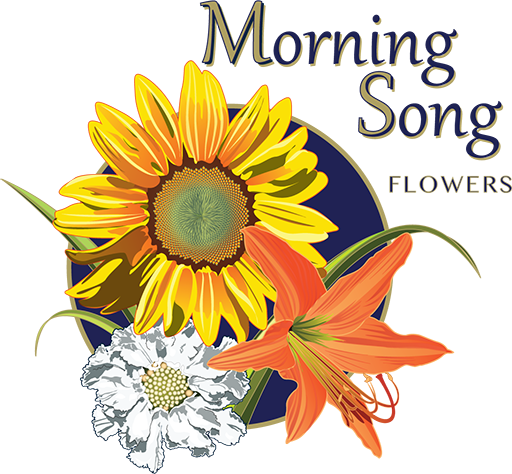 Morning Song Flowers